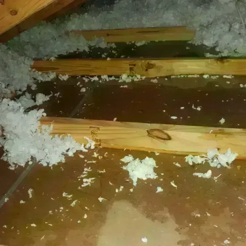 Attic Water Damage in Walhalla, SC